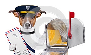 Mail dog photo