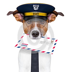 Mail dog