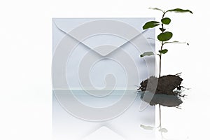Mail and green plant