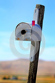 Mailbox Birdhouse
