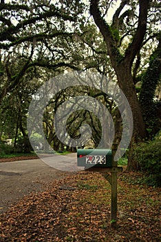 Mailbox in Charleston& x27;s autumn season