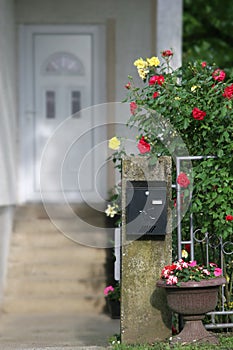 Mailbox and flowers in front of a house