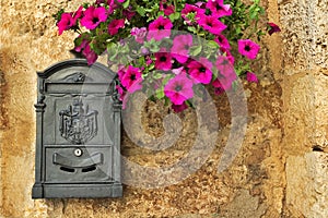 Mailbox with petunias