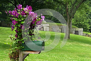 Mailbox with Purple Flowers photo