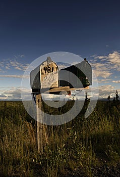 Mailboxes in rural landscape in Alaska