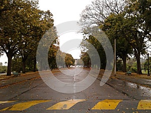 Main Avenue in Quinta da Boa Vista Rio de Janeiro Brazil. photo