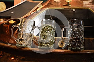 The main beer ingredients barley, malt and hops in beer mugs