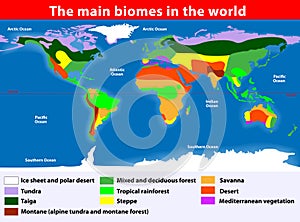 The main biomes in the world