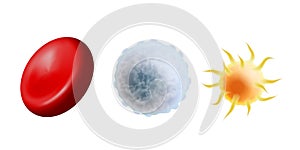 Main blood cells in scale - erythrocyte, thrombocyte and leukocyte. Red blood cell, white blood cell and platelet