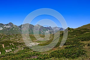 Main Caucasian Ridge and green grass alpine meadows with rhododendron