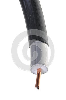 Main coaxial cable