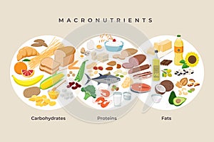 Main food groups - macronutrients. Carbohydrates, fats and proteins in comparison, foods icons in flat design isolated