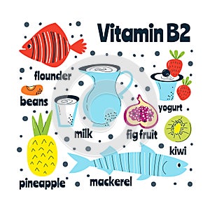 The main food sources of vitamin B2. Healthy food concept.