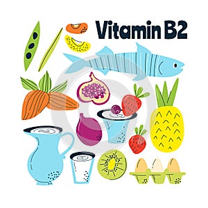 The main food sources of vitamin B2. Healthy food concept.