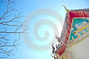 The main hall of Buddhism in Thai temple and branch tree and blue sky