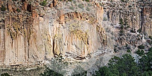 Main Loop Trail