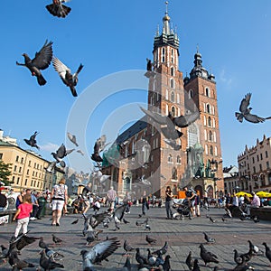 Main Market Square, is the principal urban space located at center of city.