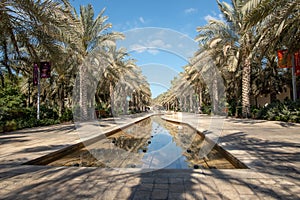 Main park alley and water feature, Abu Dhabi