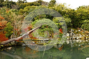 The main pond in Tenryu-ji