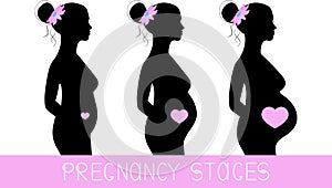 Main pregnancy stages. Pregnant woman silhouette during 3 trimesters. Vector illustration
