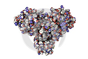 The main protease of coronavirus