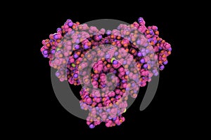 The main protease of coronavirus