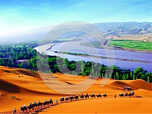 Ningxia Shapotou National Nature Reserve photo