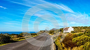 Main Road in Cape of Good Hope Nature Reserve