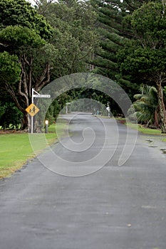 Main road on Lord Howe Island photo