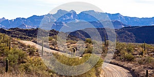 Main road through Organ Pipe Cactus National Monument in southern Arizona