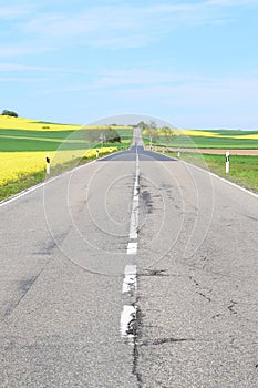 main road road to Mayen and NÃ¼rburgring in spring with yellow and green fields