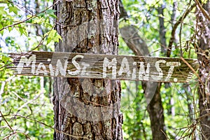 Main Street on Pine Tree