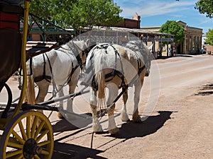 Stagecoach, Main Street, Tombstone, Arizona photo