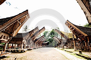 Main street of traditional Tana Toraja village, tongkonan houses and buildings. Kete Kesu, Rantepao, Sulawesi, Indonesia
