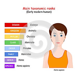 Main taxonomic ranks