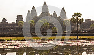 The Main Temple at Angkor Wat