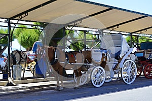 Main transport on the Greece island of Aegina - horse carrige