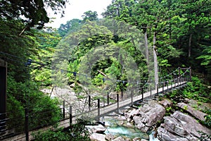 Main view of one of the several bridges crossing the river in Yakusugiland park