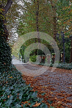 Main walkway of Botanical garden in Europe in autumn.