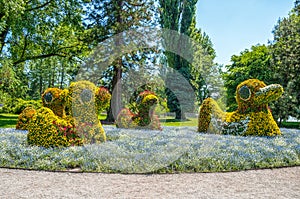 Mainau, Lake Constance