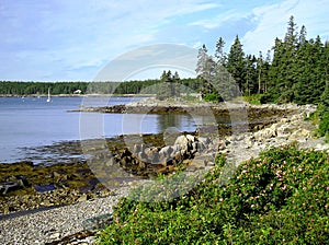 Maine Coastline