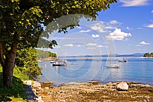 Maine coastline and boats photo