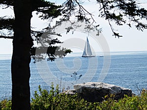 Maine Coastline Sailboat