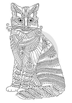 Maine coon cat, adult coloring page