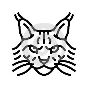 maine coon cat cute pet line icon vector illustration