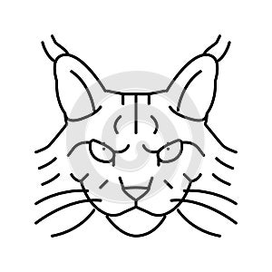 maine coon cat cute pet line icon vector illustration