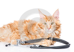 Maine coon cat with a stethoscope. isolated on white background