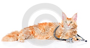 Maine coon cat with a stethoscope. isolated on white background