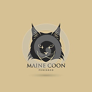 Maine Coon cat - vector illustration photo