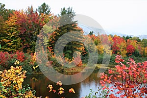 Maine fall foliage